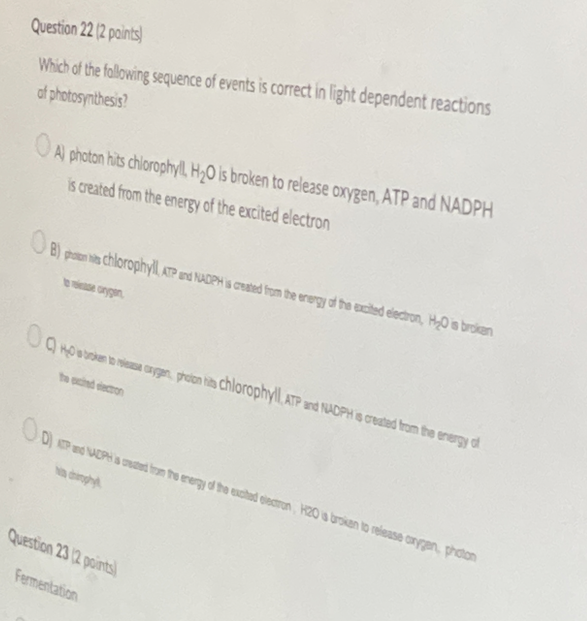 Question 2 2 ( 2 points ) Which of the following