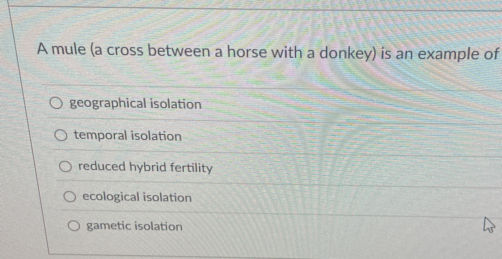 A mule ( a cross between a horse with a donkey )