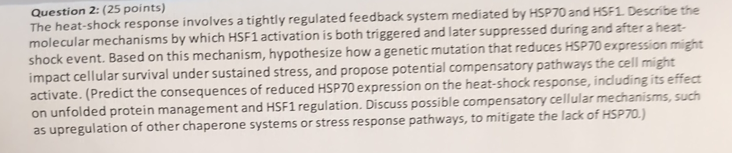 Question 2 : ( 2 5 points ) The heat - shock