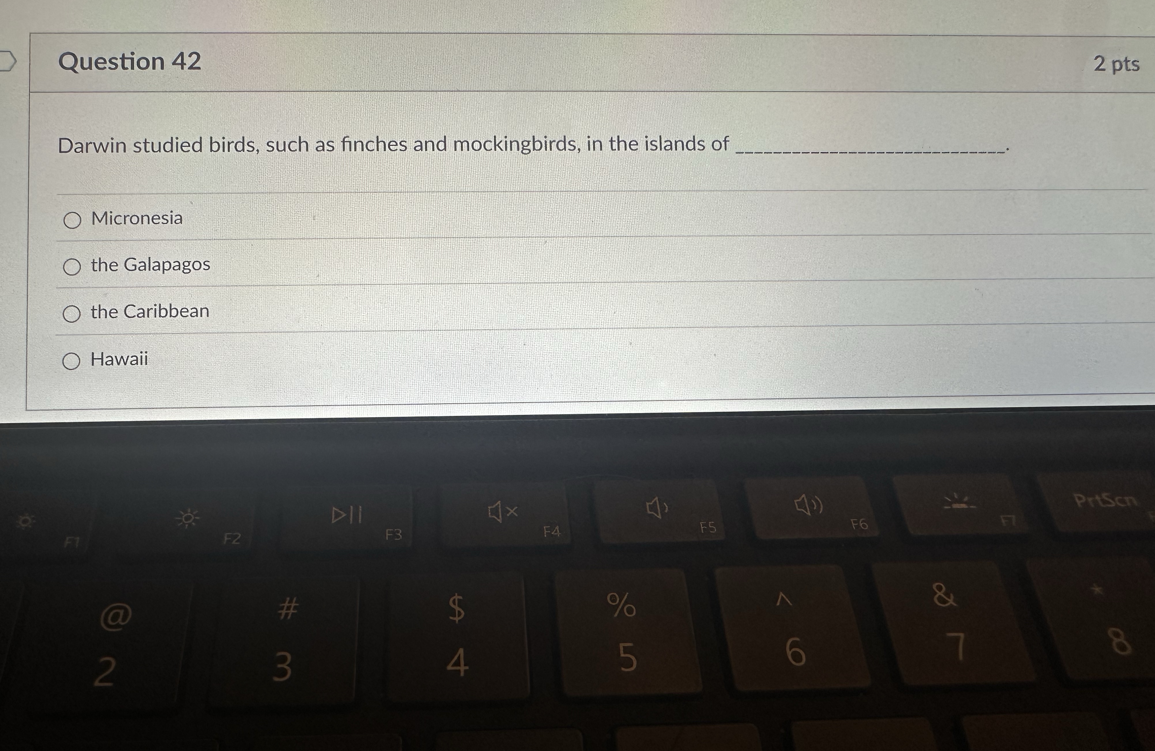Question 4 2 2 pts Darwin studied birds, such as