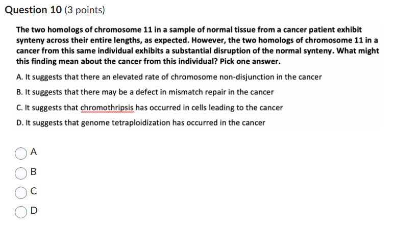 Question 1 0 ( 3 points ) The two homologs of