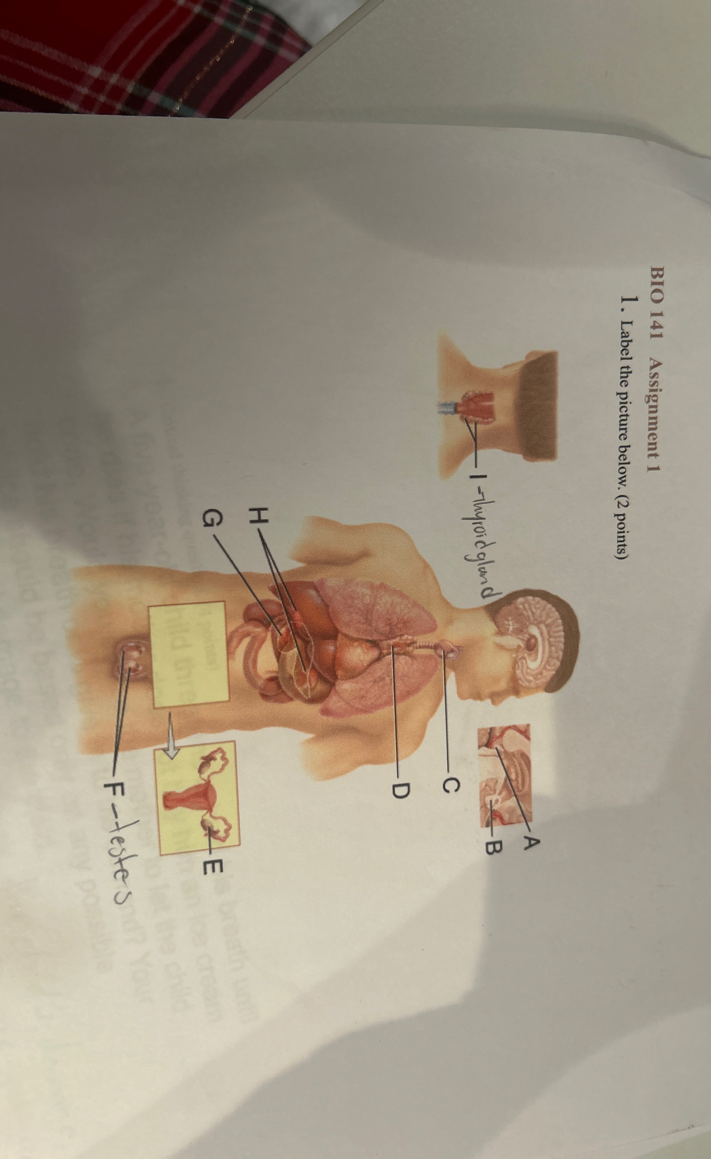 BIO 1 4 1 Assignment 1 Label the picture below. (