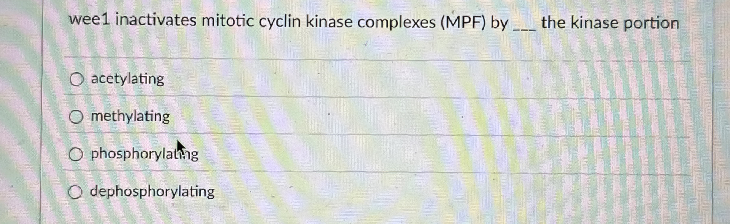 wee 1 inactivates mitotic cyclin kinase complexes