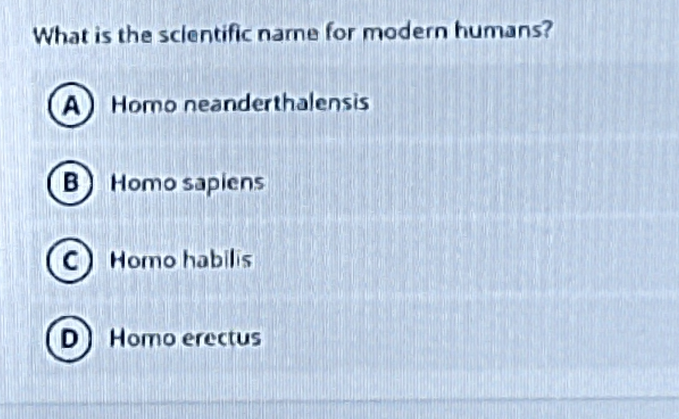 What is the sclentific narne for modern humans?