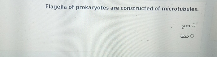 Flagella of prokaryotes are constructed of