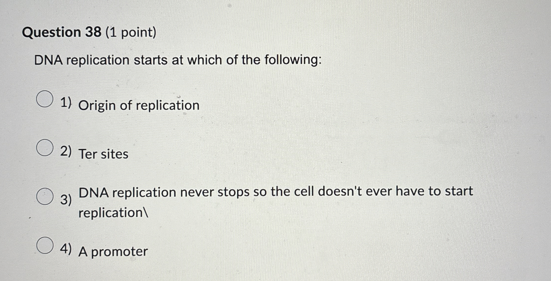 Question 3 8 ( 1 point ) DNA replication starts