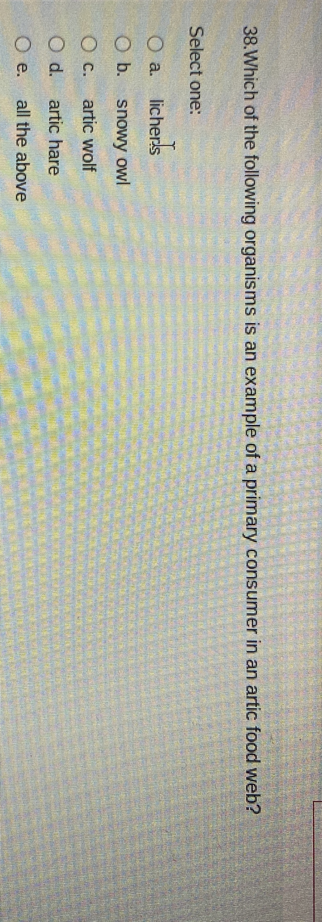 3 8 . Which of the following organisms is an