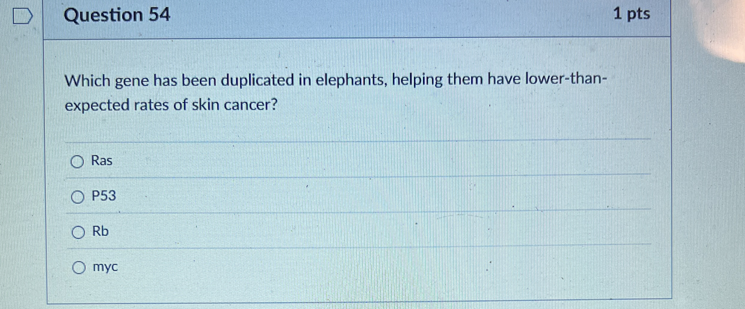 Question 5 4 1 pts Which gene has been duplicated