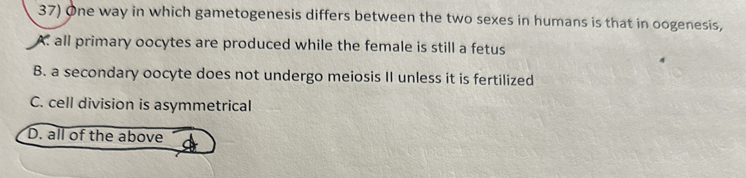 One way in which gametogenesis differs between