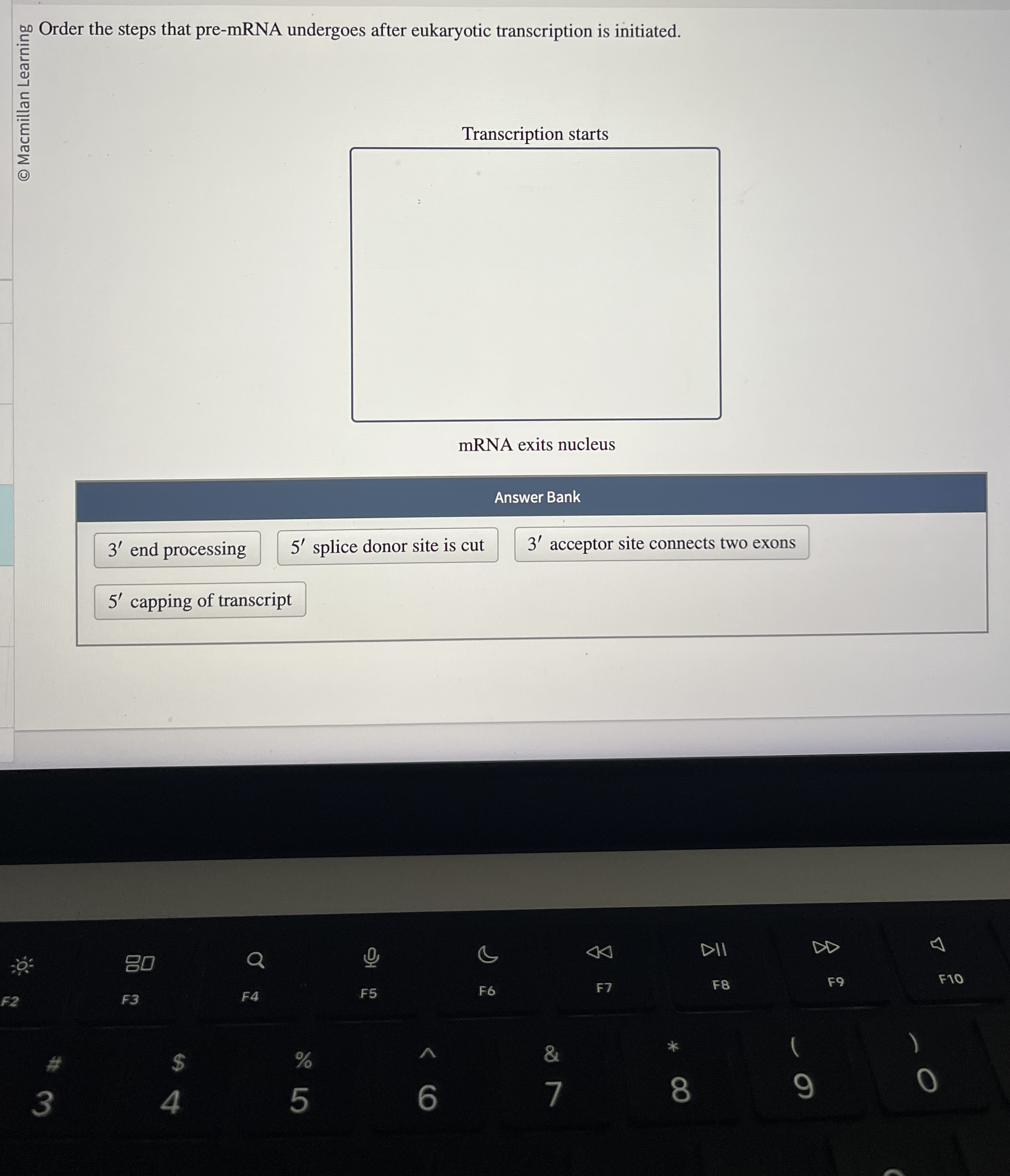 Order the steps that pre - mRNA undergoes after