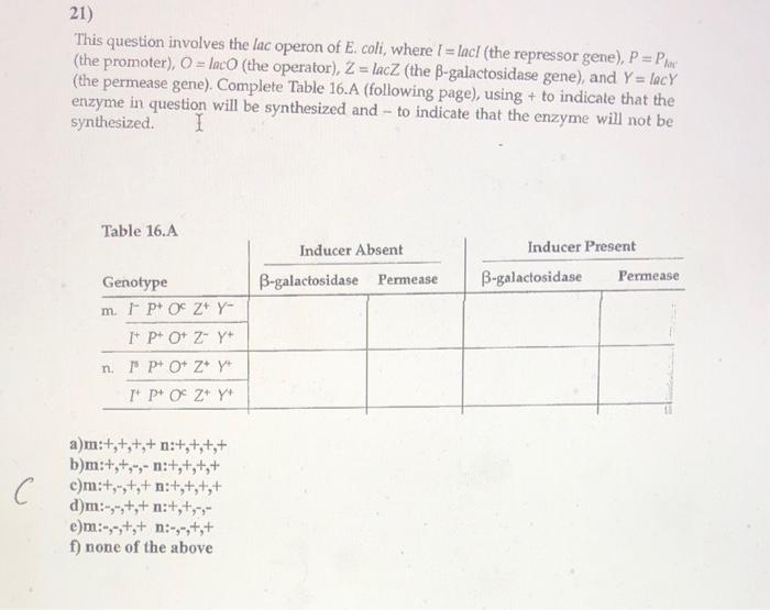 what is the answer plus explanation please