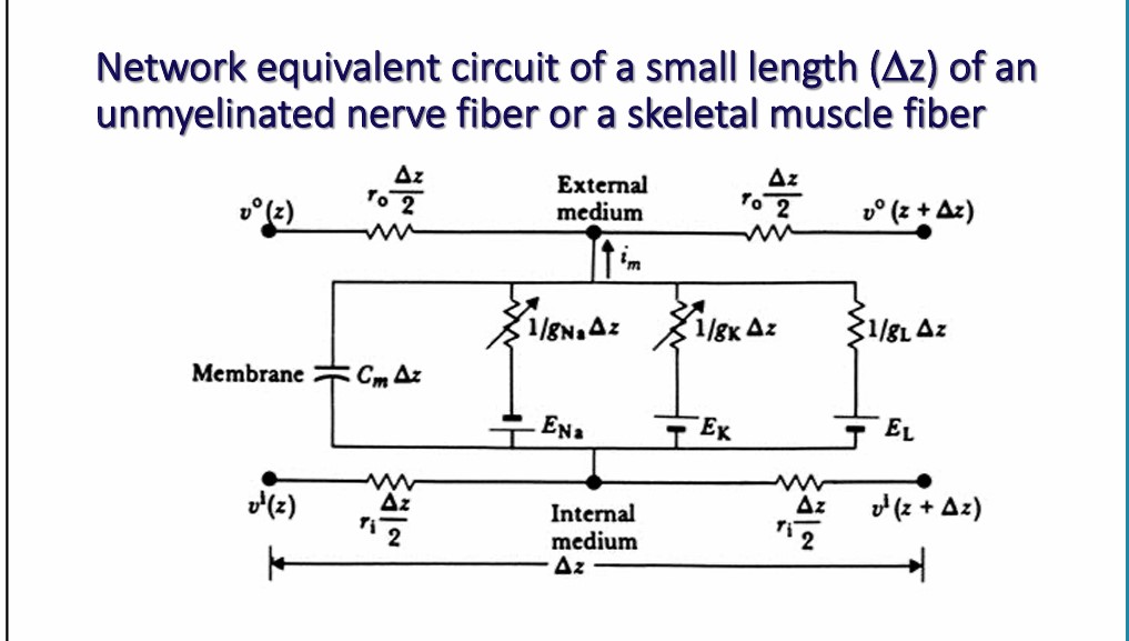 What are the elements that affect the circuit?