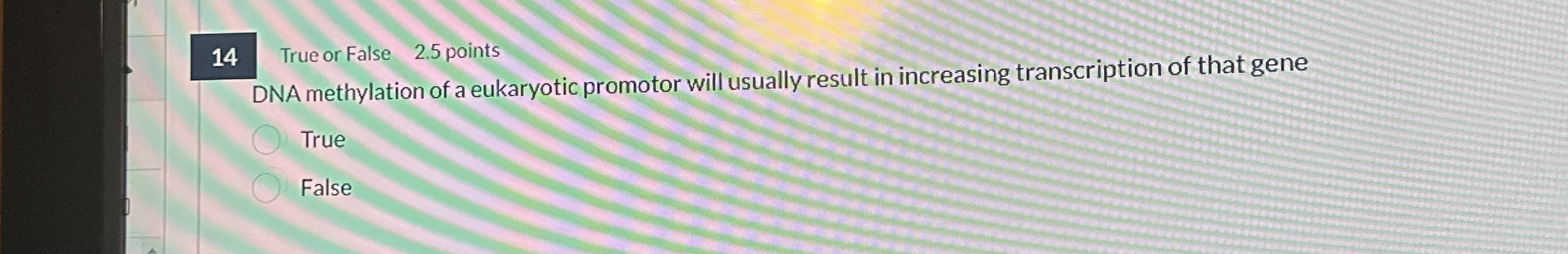 1 4 True or False 2 . 5 points DNA methylation of