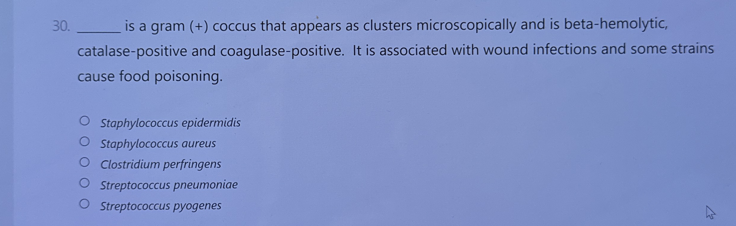 is a gram ( + ) coccus that appears as clusters