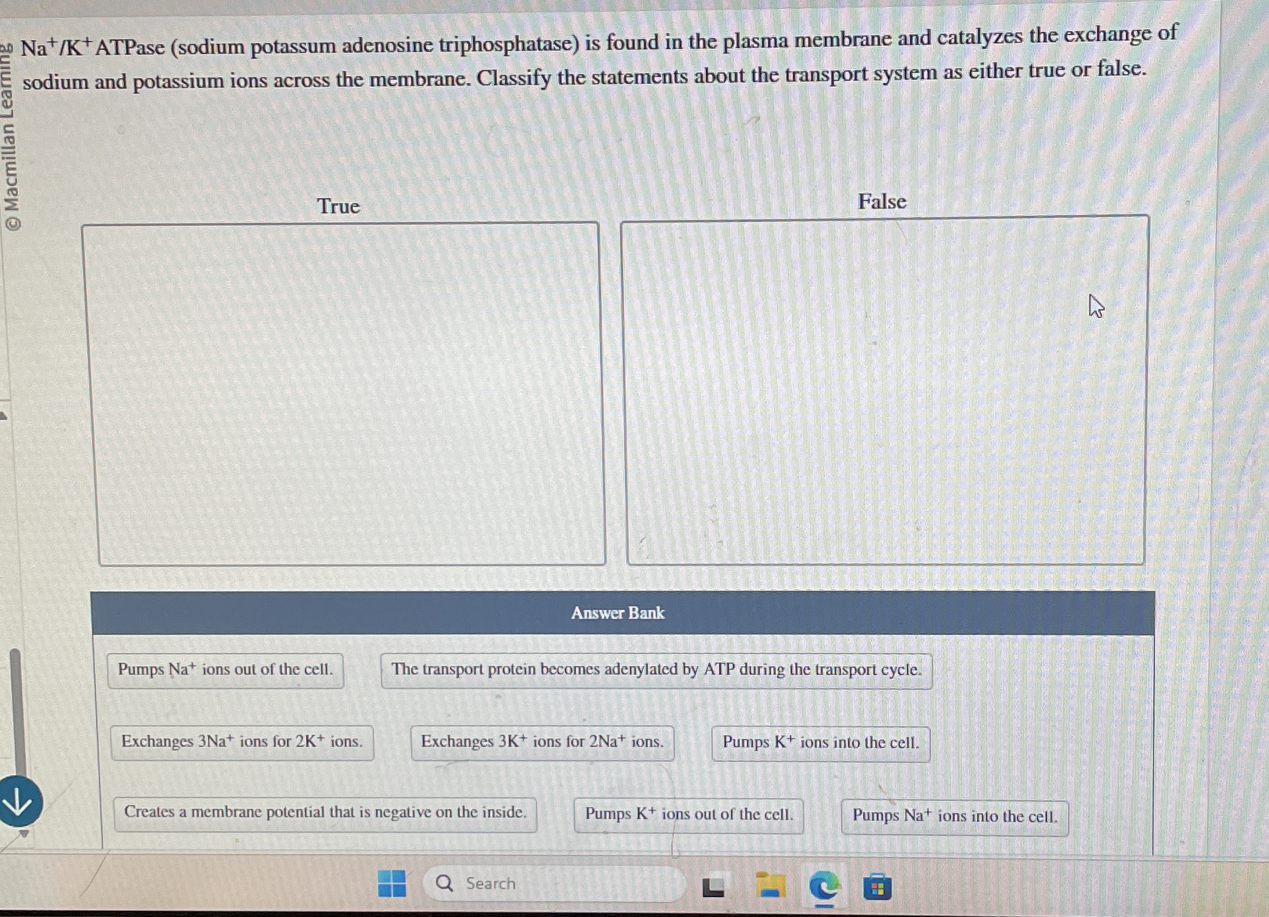 ? 2 0 N a + K + ATPase ( sodium potassum