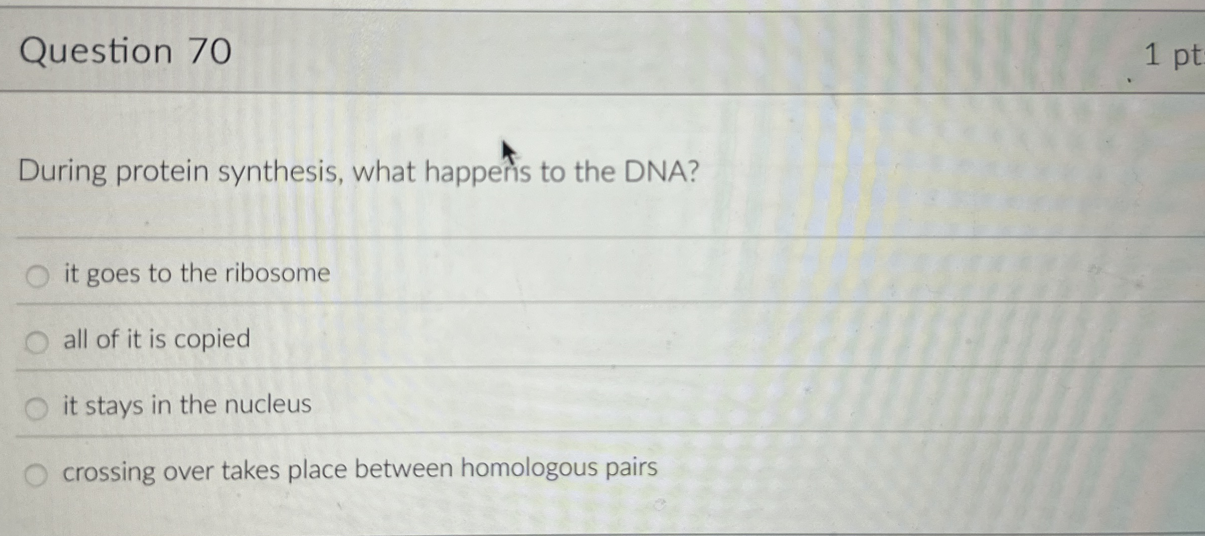 Question 7 0 During protein synthesis, what
