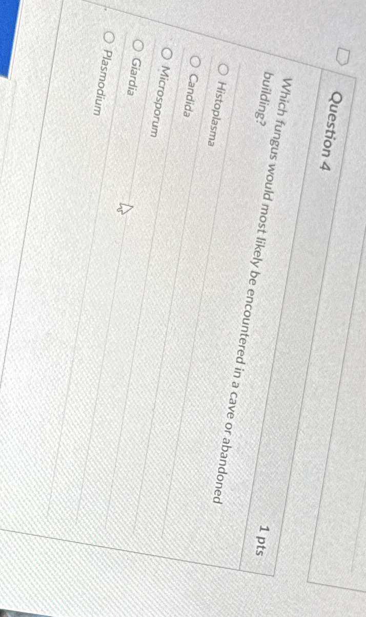 Question 4 1 pts Which fungus would most likely