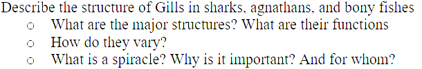Describe the structure of Gills in sharks,