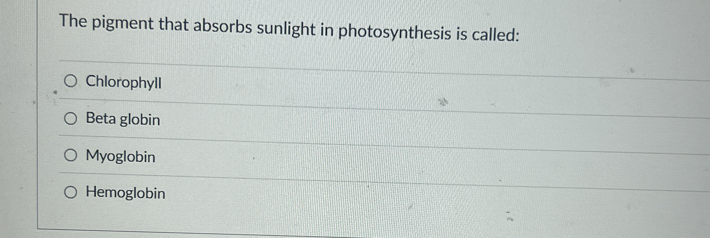 The pigment that absorbs sunlight in