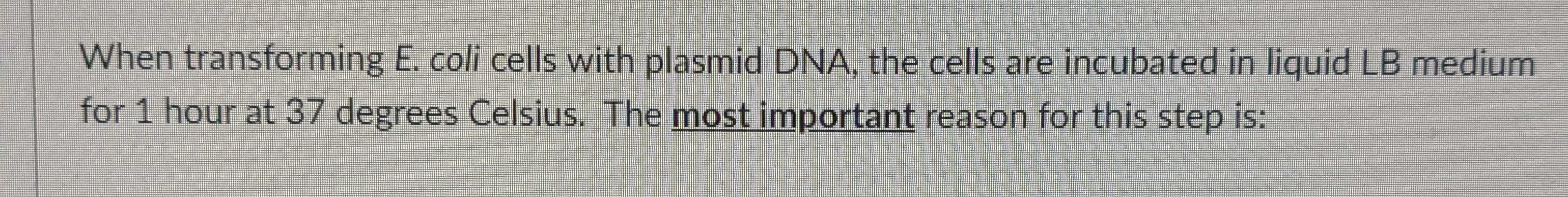 When transforming E . coli cells with plasmid