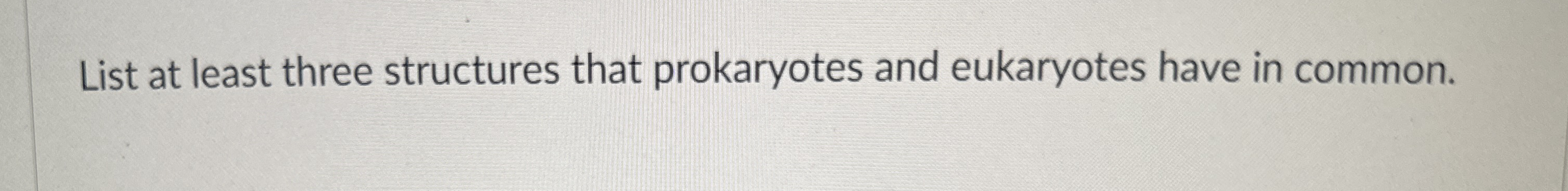 List at least three structures that prokaryotes