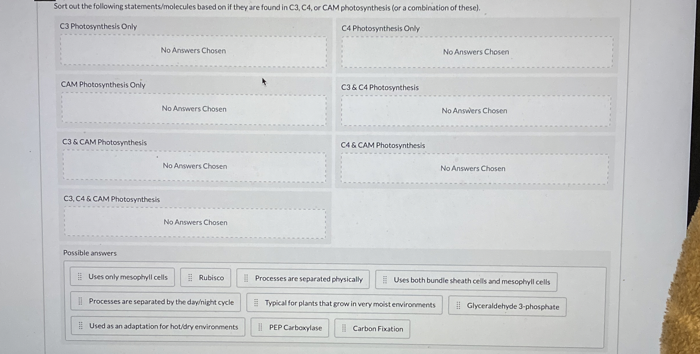 Sort out the following statements / molecules