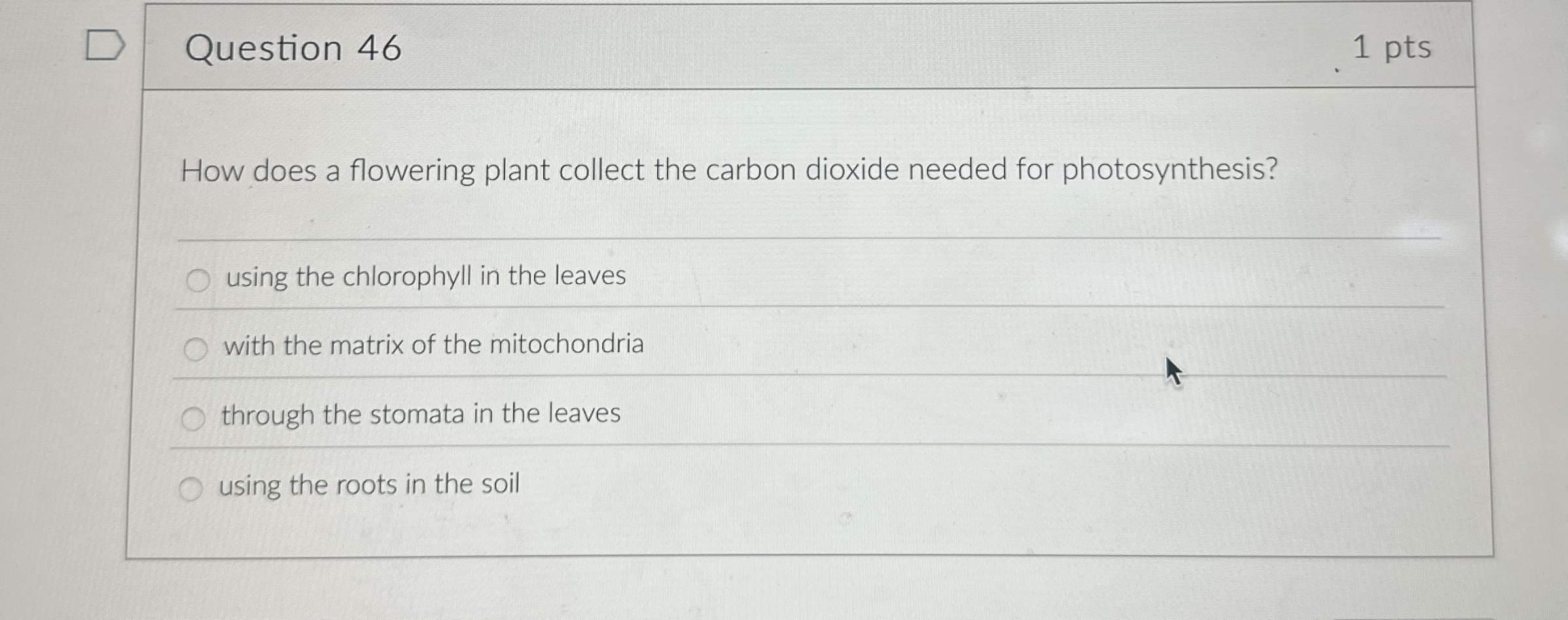 Question 4 6 1 pts How does a flowering plant