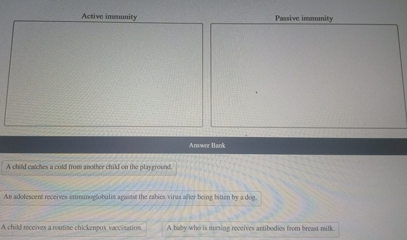 Active immunity Passive immunity Answer Bank A