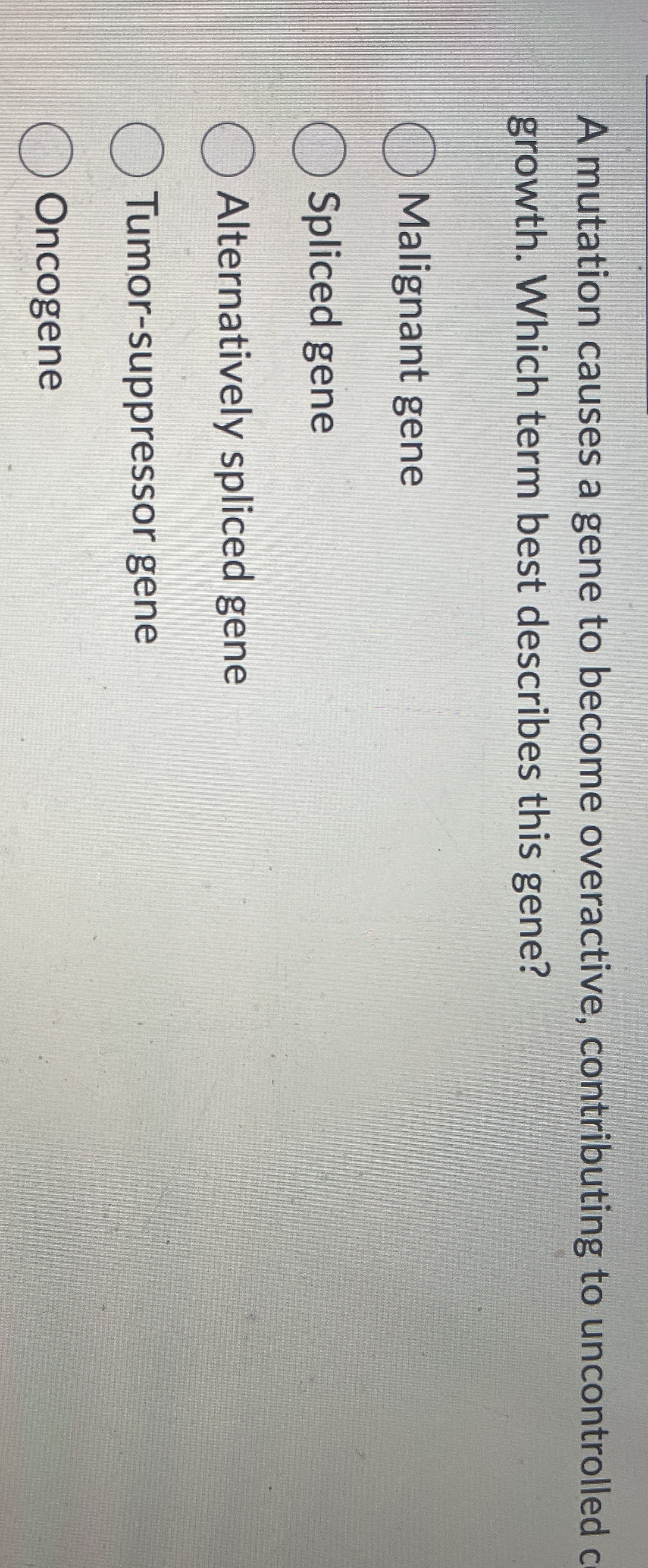 A mutation causes a gene to become overactive,
