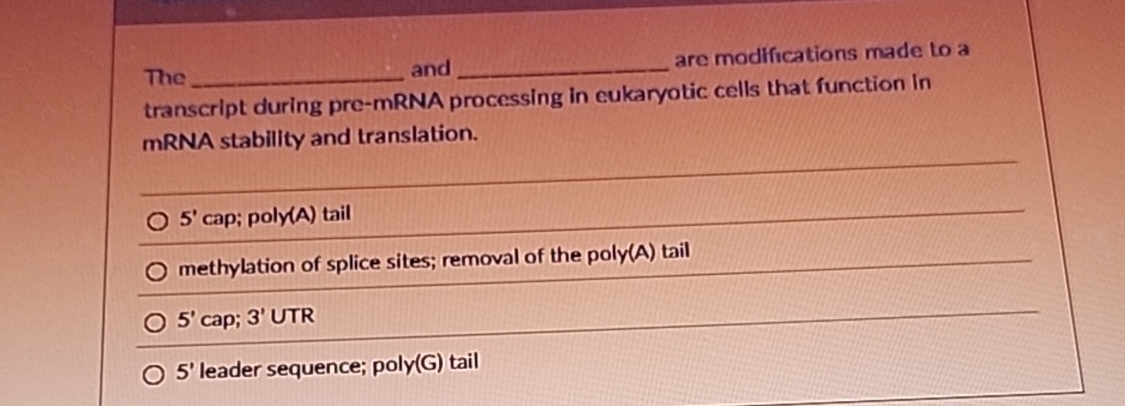 The and are modifications made to a transcript