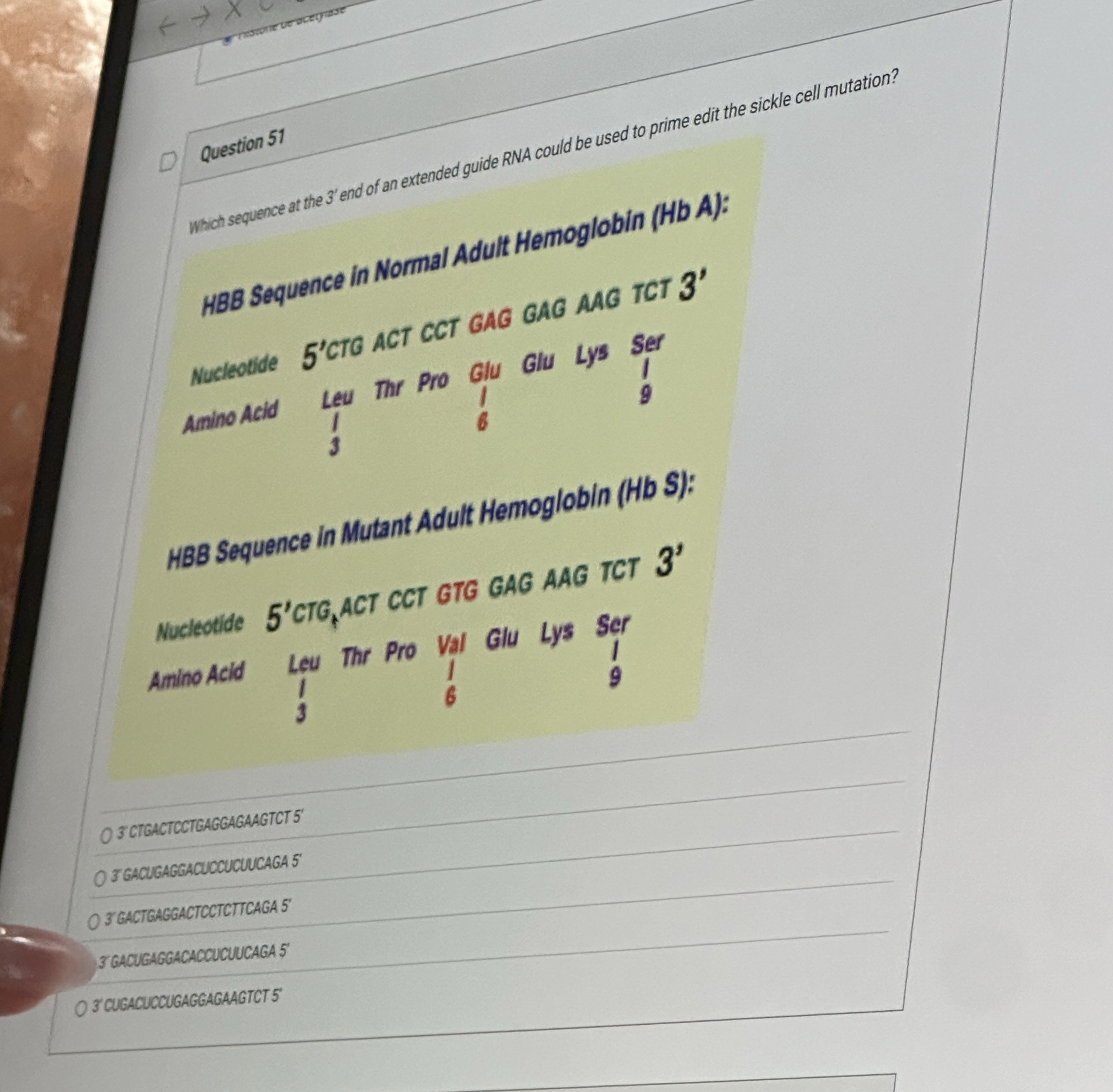 Question 5 1 What sequence at the 3 ' end of an