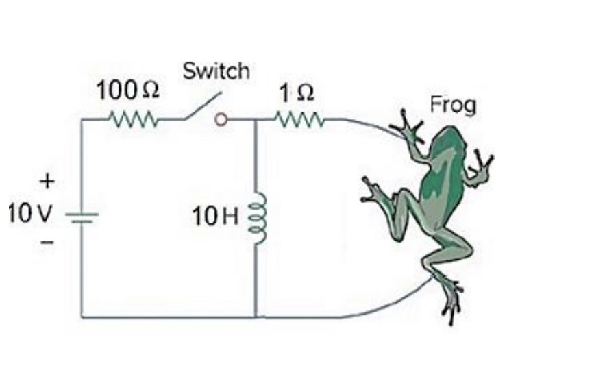 In the shown circuit, you may model the frog as a
