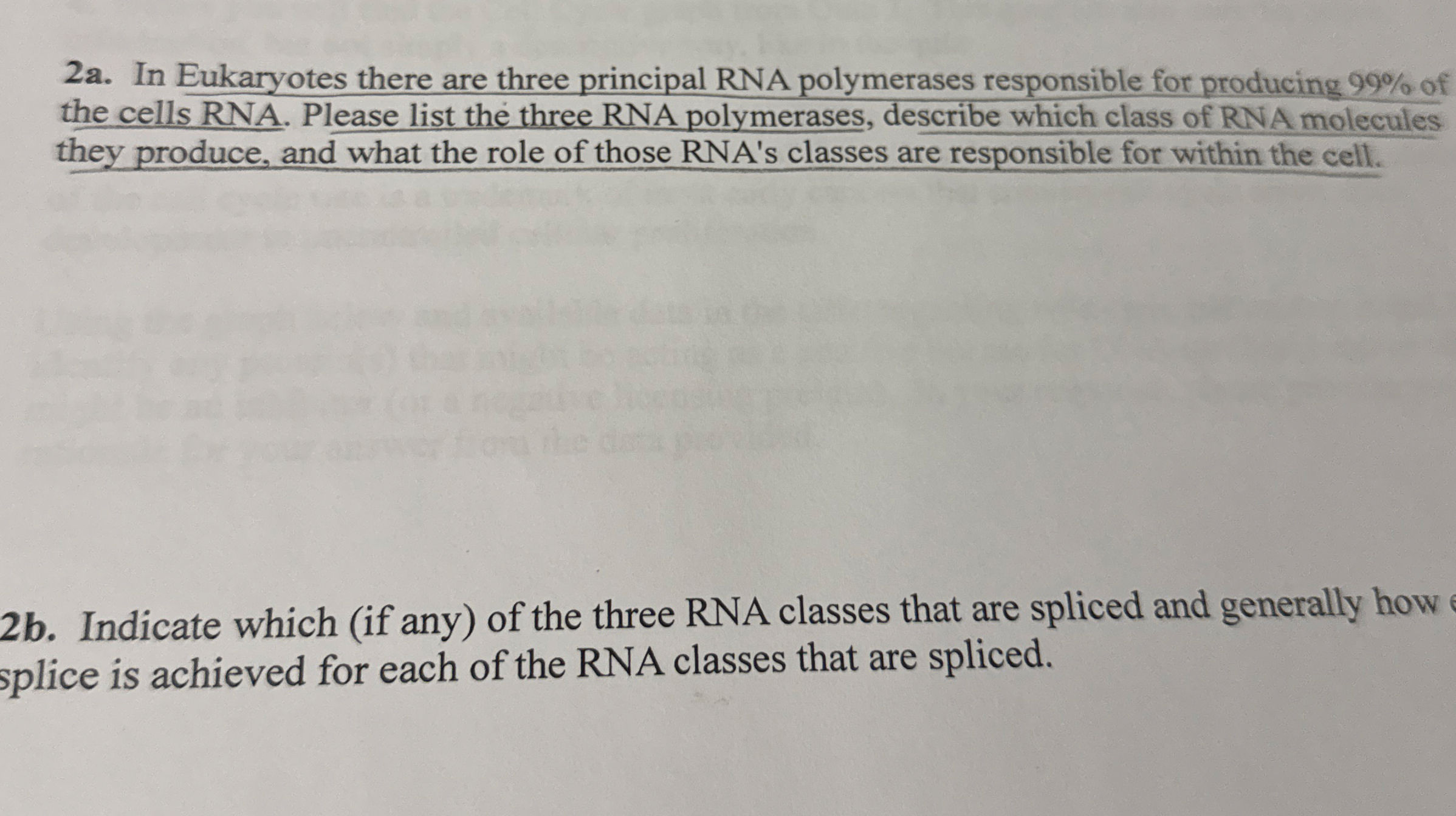 2 a . In Eukaryotes there are three principal RNA