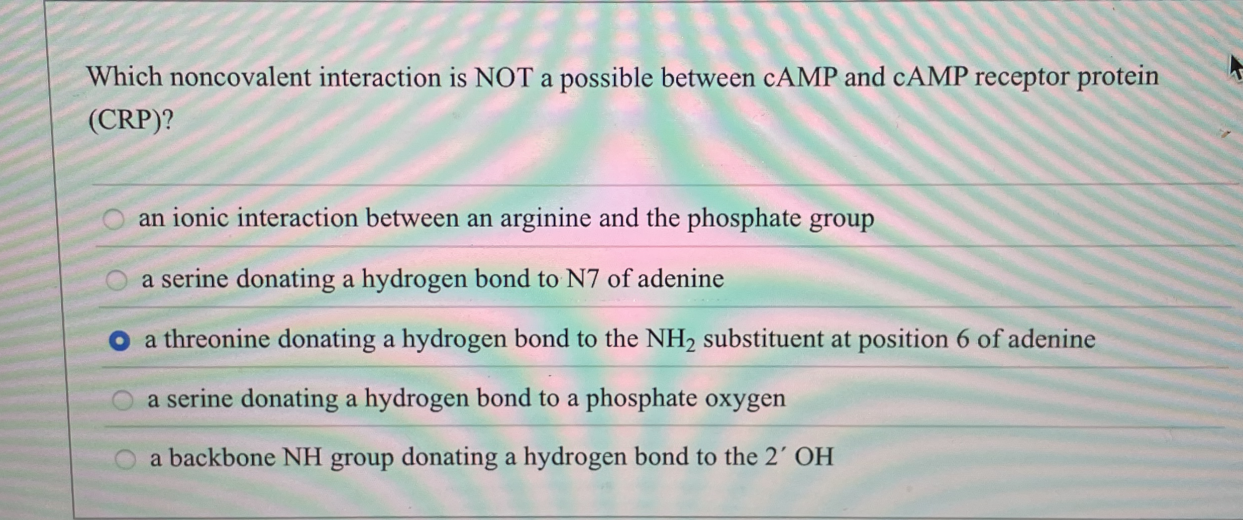 Which noncovalent interaction is NOT a possible