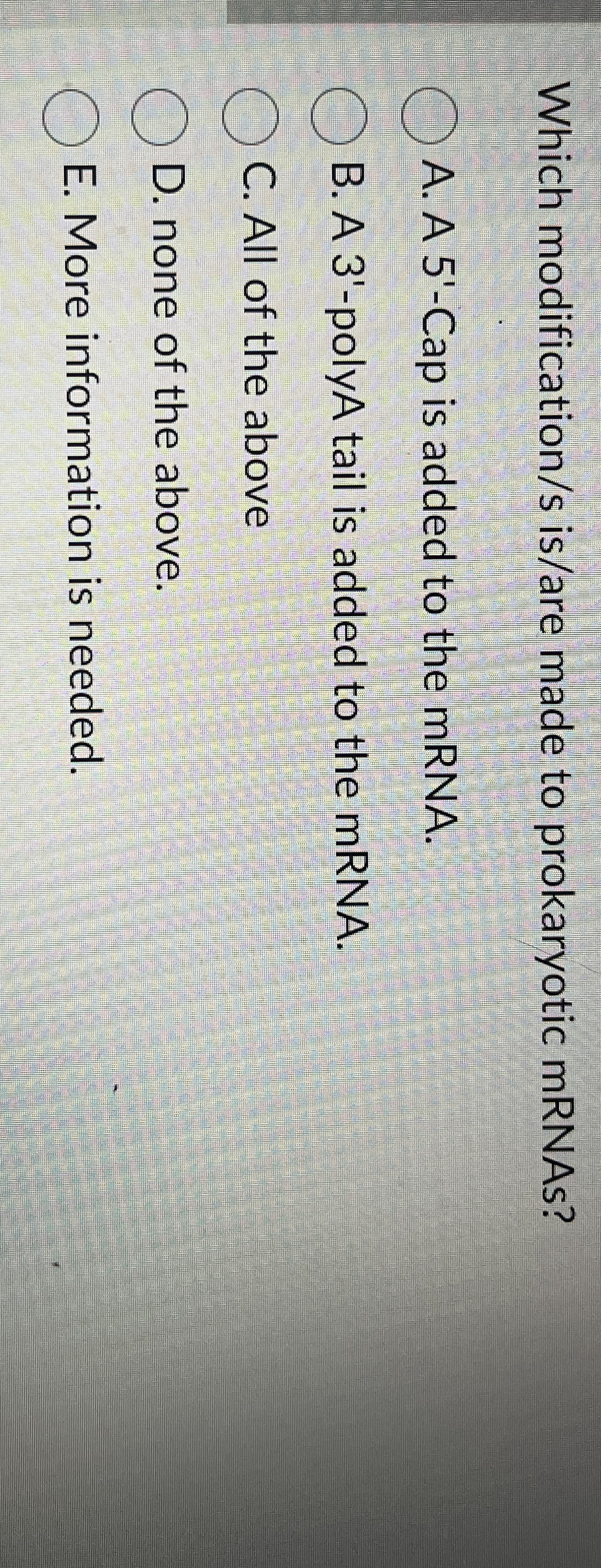 Which modification / s is / are made to