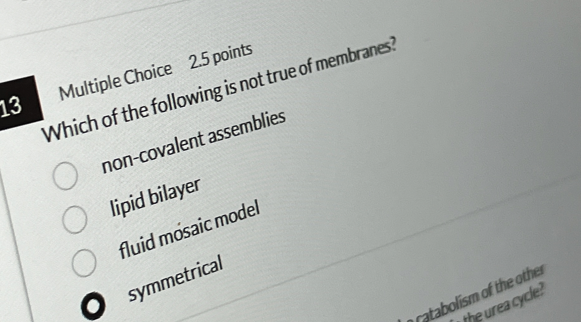 1 3 Multiple Choice 2 . 5 points Which of the