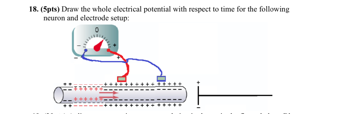 ( 5 pts ) Draw the whole electrical potential
