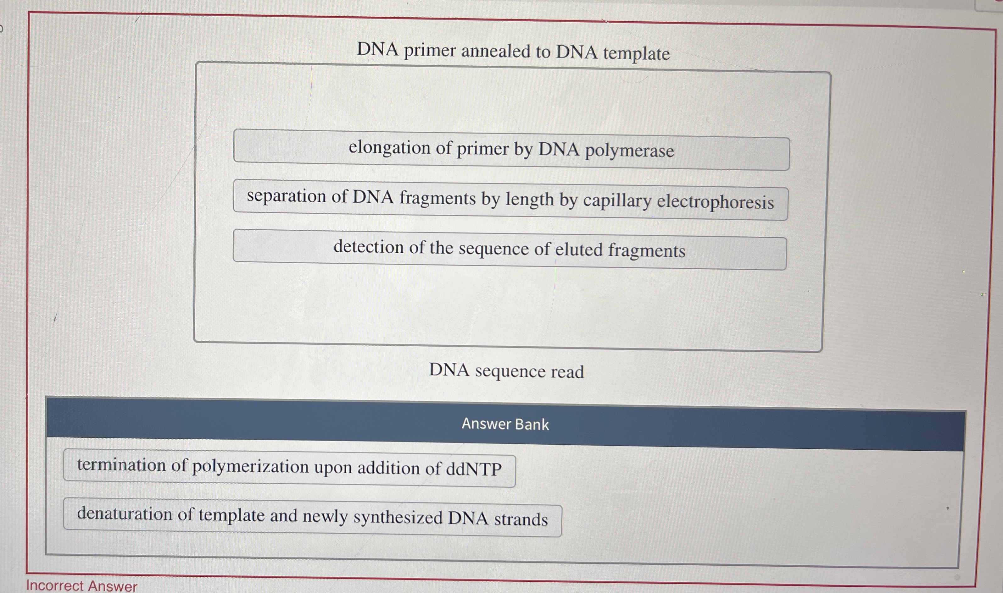 DNA primer annealed to DNA template DNA sequence