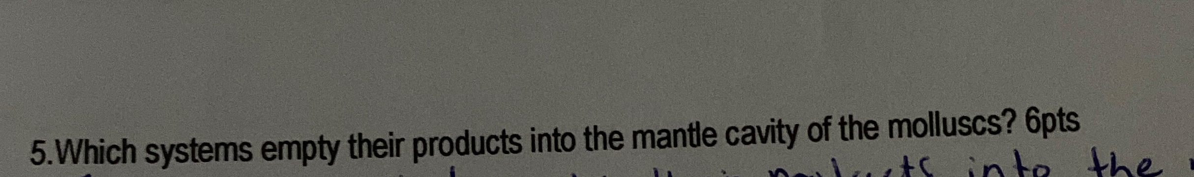 5 . Which systems empty their products into the