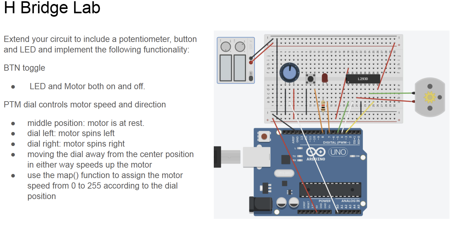 H Bridge Lab Extend your circuit to include a