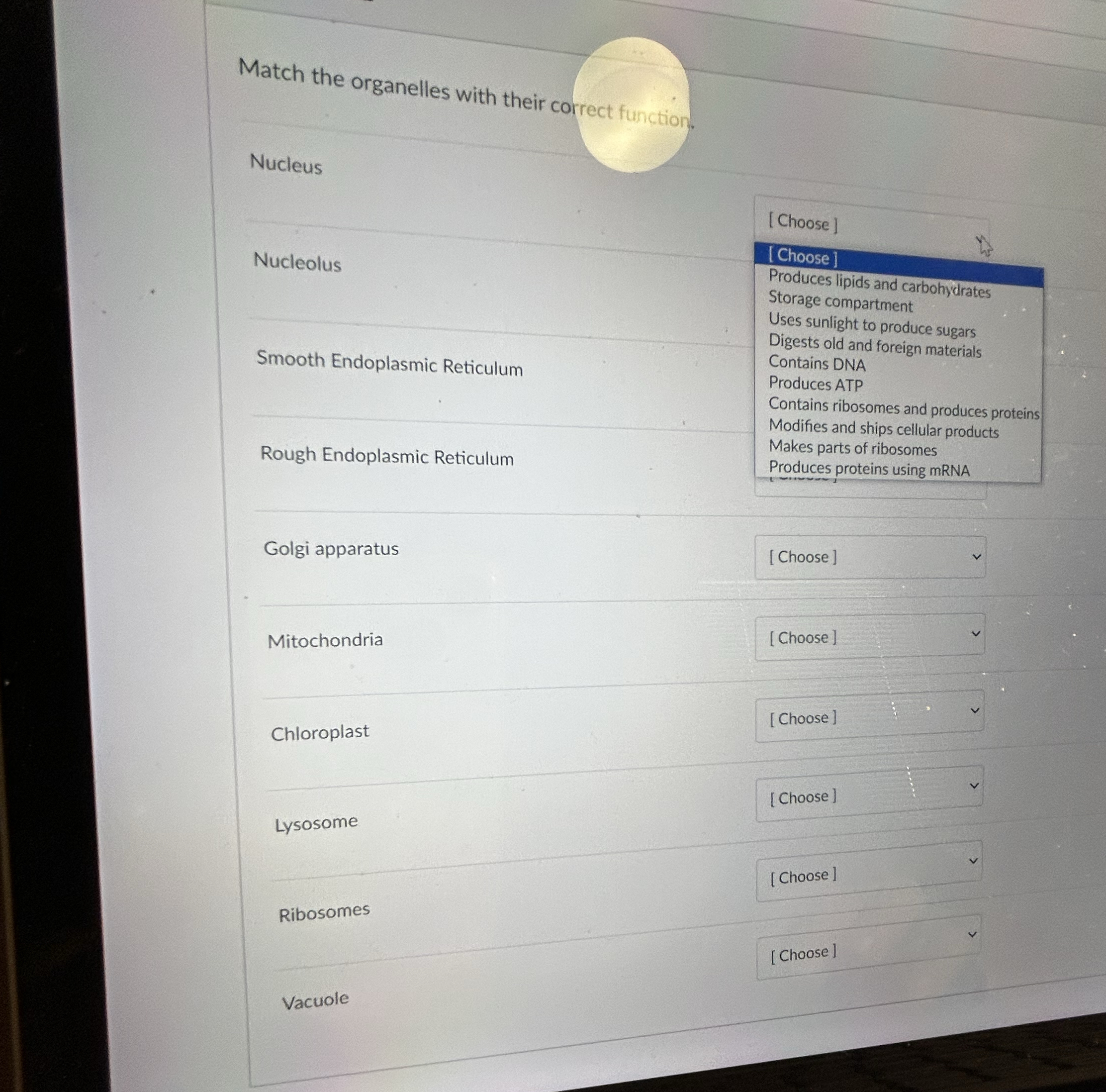 Match the organelles with their correct function.