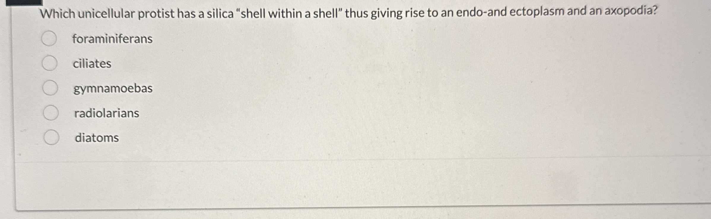Which unicellular protist has a silica "shell