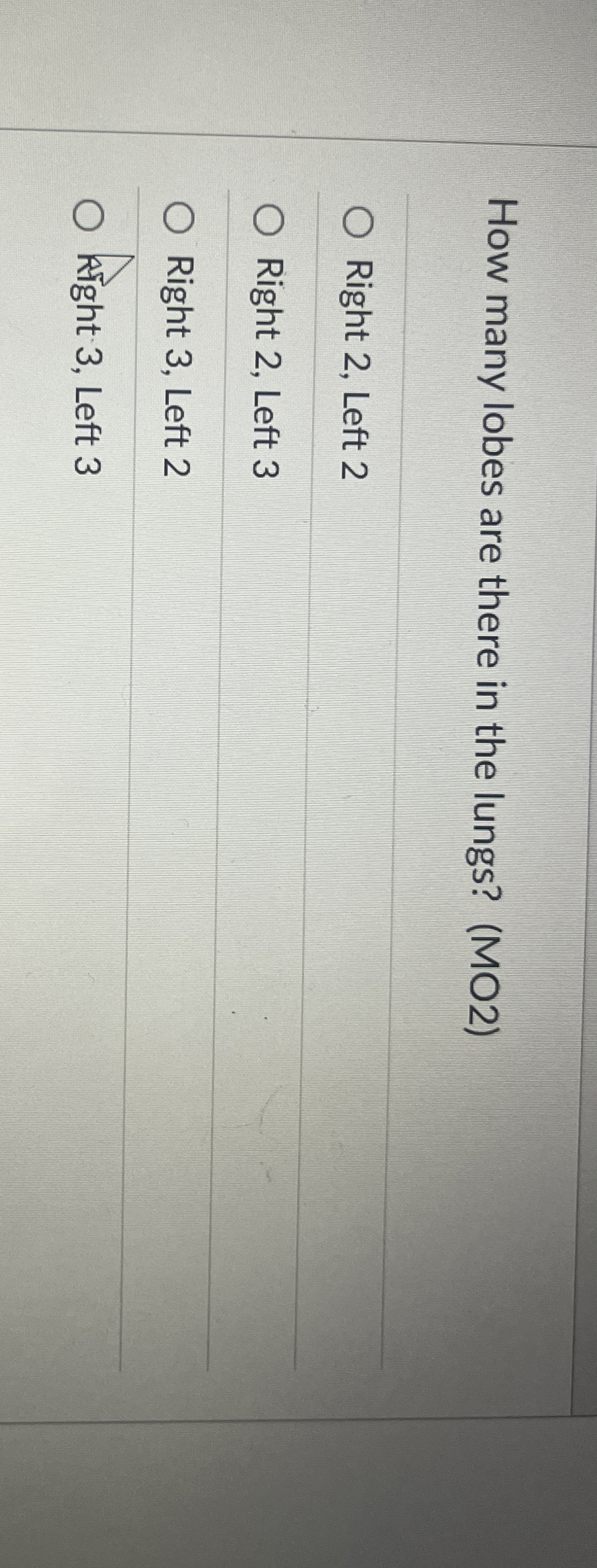 How many lobes are there in the lungs? ( MO 2 )