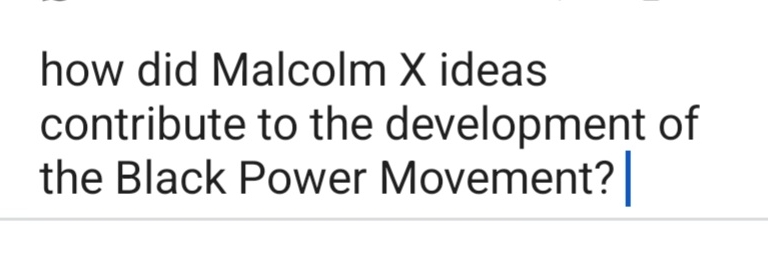 how did Malcolm X ideas contribute to the