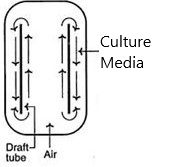 What kind of bioreactor is this? Question 17