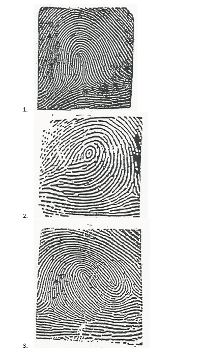 Please identify each pattern with the correct