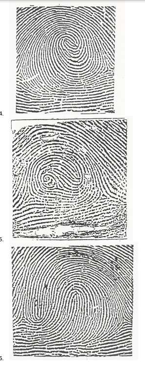 Please identify each pattern with the correct