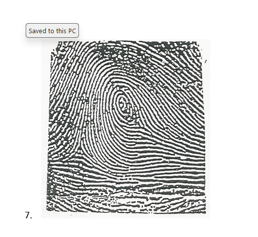 Please identify each pattern with the correct