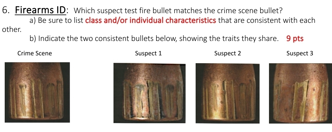 please examine and answer questions 6. Firearms