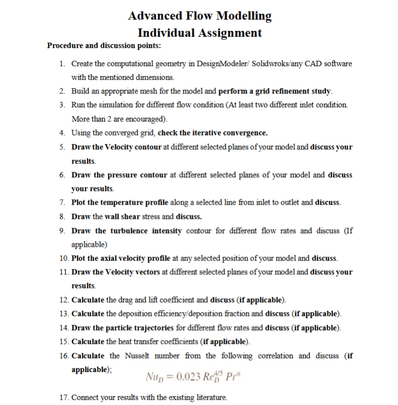 Advanced Flow Modelling Individual Assignment